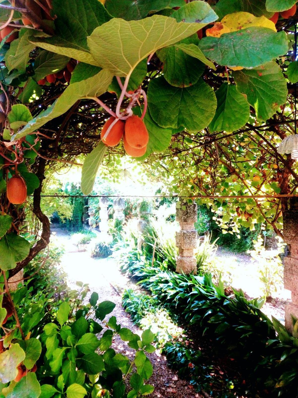 Oddi21 B&B Albenga Kültér fotó