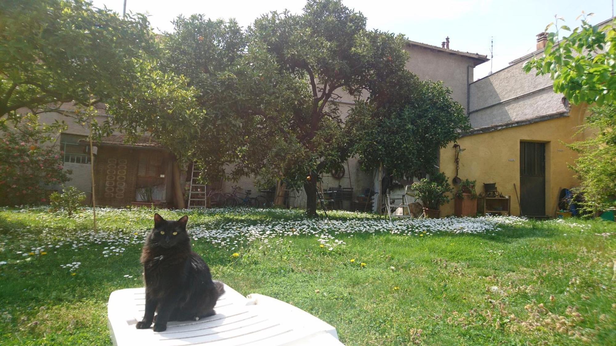 Oddi21 B&B Albenga Kültér fotó